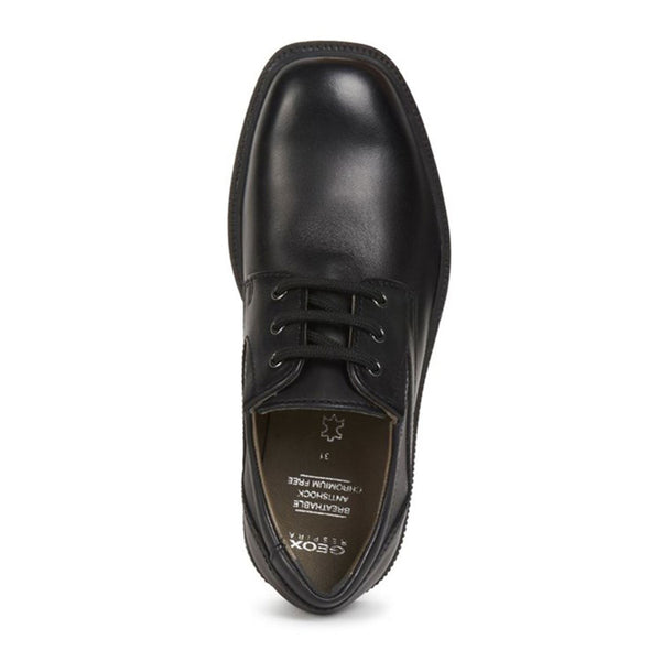 Geox Boys School Lace Up Jr Federico Shoes v1